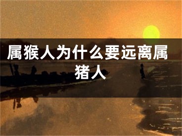属猴人为什么要远离属猪人