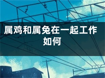 属鸡和属兔在一起工作如何