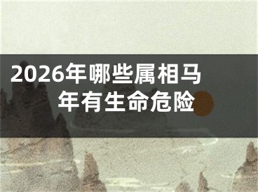 2026年哪些属相马年有生命危险