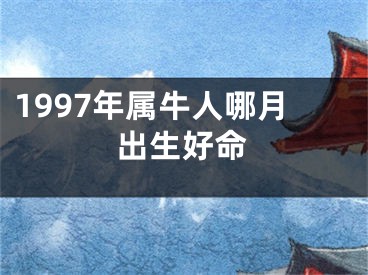 1997年属牛人哪月出生好命