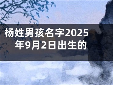 杨姓男孩名字2025年9月2日出生的