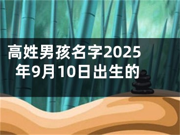 高姓男孩名字2025年9月10日出生的