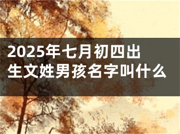 2025年七月初四出生文姓男孩名字叫什么