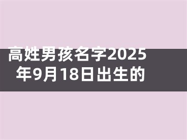 高姓男孩名字2025年9月18日出生的