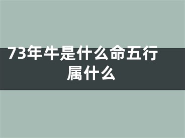 73年牛是什么命五行属什么