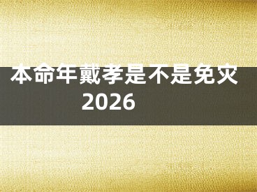 本命年戴孝是不是免灾2026
