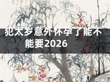 犯太岁意外怀孕了能不能要2026