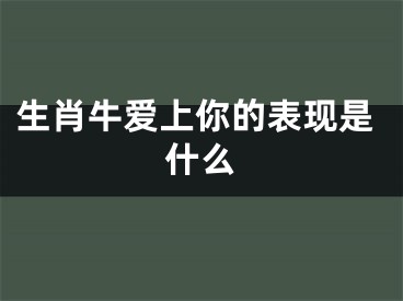 生肖牛爱上你的表现是什么