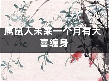 属鼠人未来一个月有大喜缠身