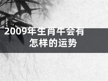 2009年生肖牛会有怎样的运势