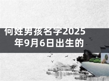 何姓男孩名字2025年9月6日出生的