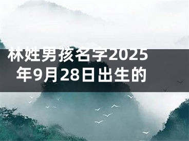 林姓男孩名字2025年9月28日出生的