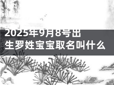 2025年9月8号出生罗姓宝宝取名叫什么