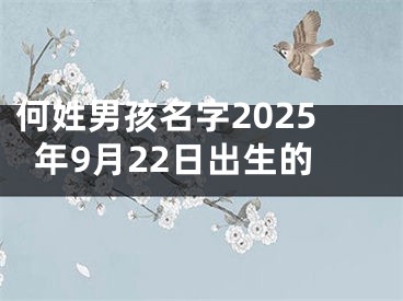 何姓男孩名字2025年9月22日出生的