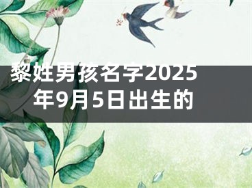 黎姓男孩名字2025年9月5日出生的