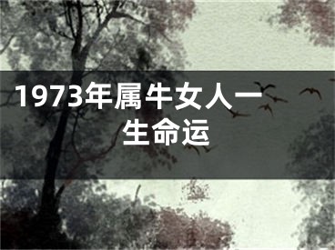 1973年属牛女人一生命运