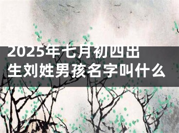 2025年七月初四出生刘姓男孩名字叫什么