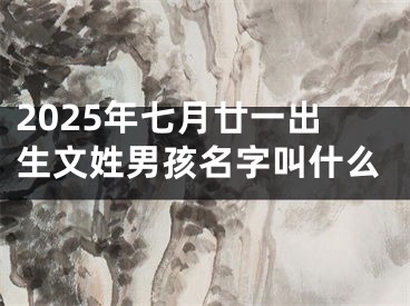 2025年七月廿一出生文姓男孩名字叫什么