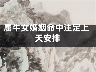 属牛女婚姻命中注定上天安排