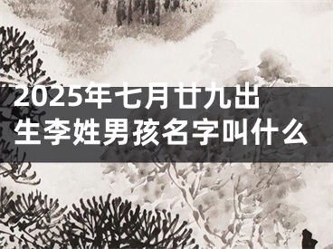 2025年七月廿九出生李姓男孩名字叫什么