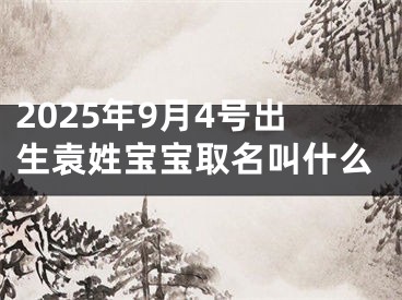 2025年9月4号出生袁姓宝宝取名叫什么