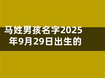 马姓男孩名字2025年9月29日出生的