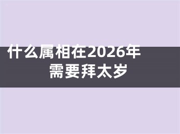什么属相在2026年需要拜太岁