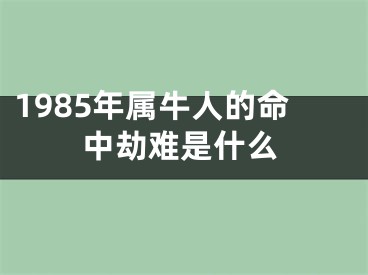 1985年属牛人的命中劫难是什么