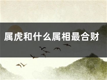 属虎和什么属相最合财