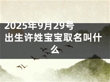 2025年9月29号出生许姓宝宝取名叫什么