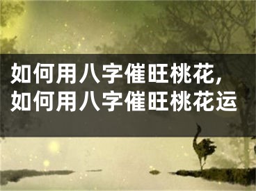如何用八字催旺桃花,如何用八字催旺桃花运