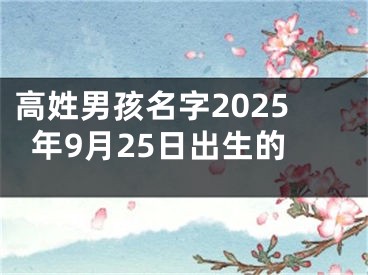 高姓男孩名字2025年9月25日出生的