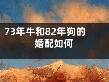 73年牛和82年狗的婚配如何
