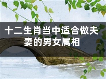 十二生肖当中适合做夫妻的男女属相