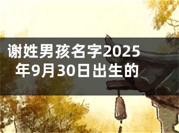 谢姓男孩名字2025年9月30日出生的