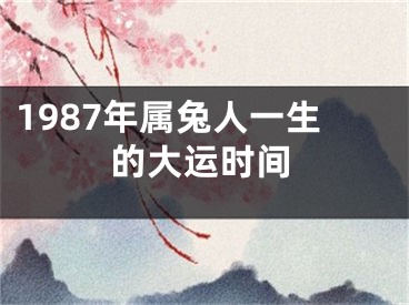 1987年属兔人一生的大运时间