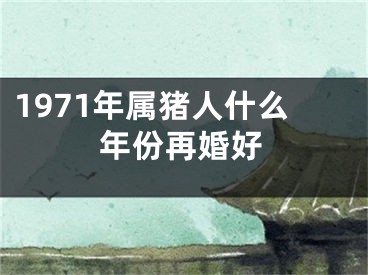 1971年属猪人什么年份再婚好