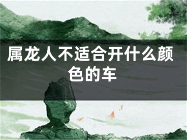 属龙人不适合开什么颜色的车