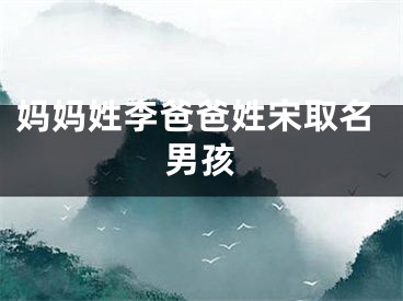 妈妈姓李爸爸姓宋取名男孩