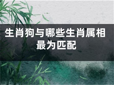 生肖狗与哪些生肖属相最为匹配