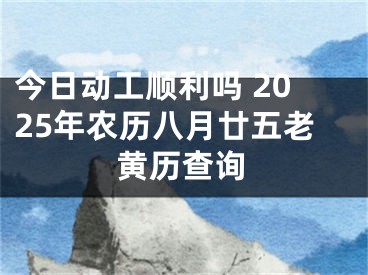 今日动工顺利吗 2025年农历八月廿五老黄历查询