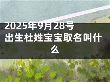 2025年9月28号出生杜姓宝宝取名叫什么