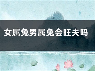 女属兔男属兔会旺夫吗