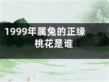 1999年属兔的正缘桃花是谁