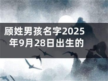 顾姓男孩名字2025年9月28日出生的