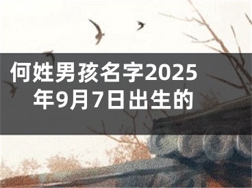 何姓男孩名字2025年9月7日出生的