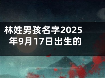 林姓男孩名字2025年9月17日出生的