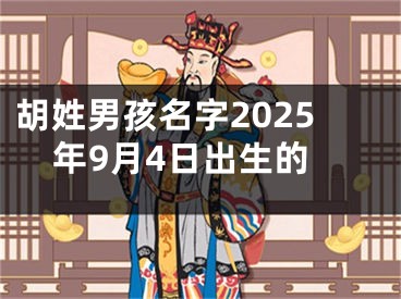 胡姓男孩名字2025年9月4日出生的