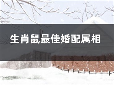 生肖鼠最佳婚配属相