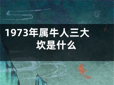 1973年属牛人三大坎是什么